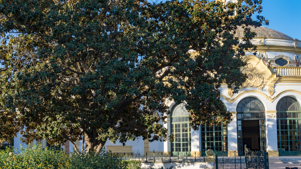 20171003 094011 , Sevilla, Andalusia, Spain